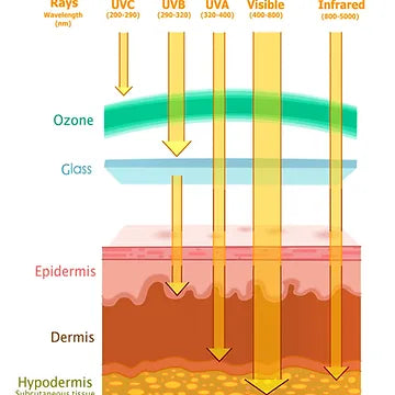 HOW DOES SUN EXPOSURE CAUSE CHRONIC SKIN DAMAGE?